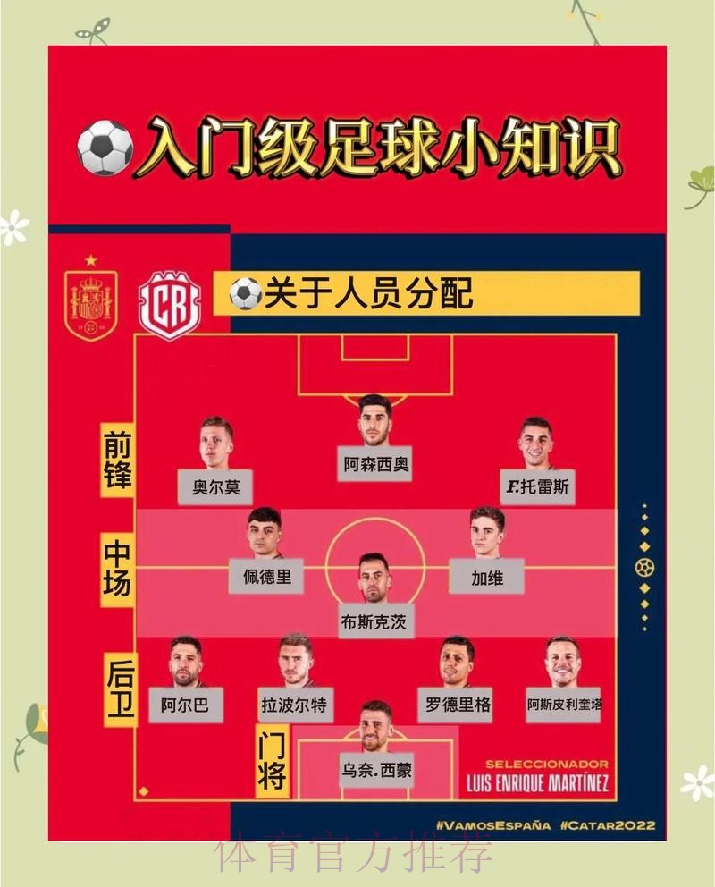 世界杯下注技巧分享：提升胜算的策略与方法